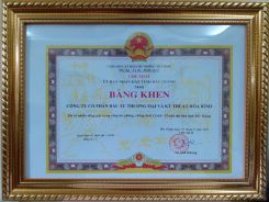 Đón nhận Bằng khen của UBND tỉnh Bắc Giang về công tác thiện nguyện chống dịch Covid-19